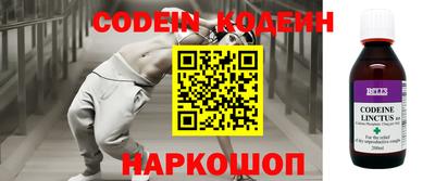 крисы Моздок