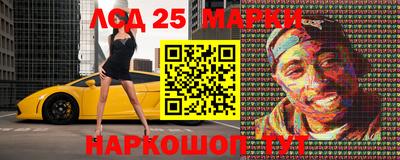 крисы Моздок