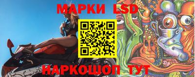крисы Моздок