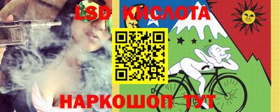 крисы Моздок