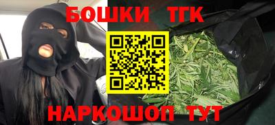крисы Моздок