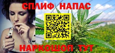 крисы Моздок