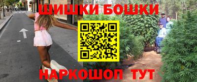 крисы Моздок