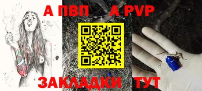 крисы Моздок