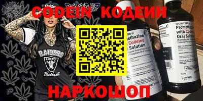крисы Моздок