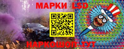 крисы Моздок