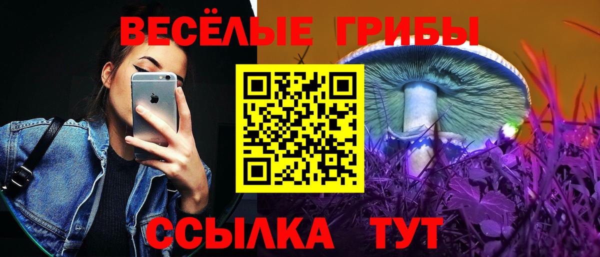 купить наркоту  Вход с VPN  Воркута  Псилоцибиновые грибы ЛСД 